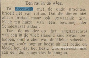 Krantenartikel