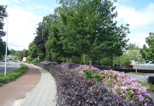 Gagelsweg (De Gagels)