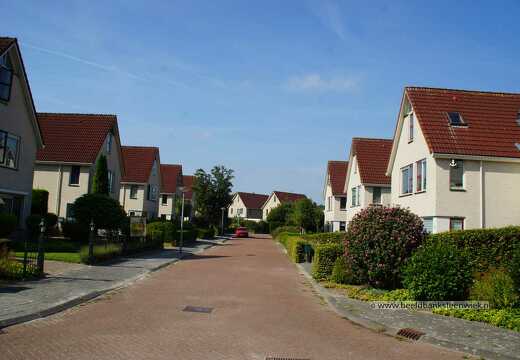 Struikheide (Paddenpoel)