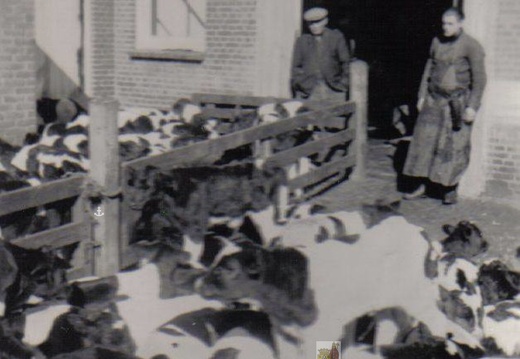 Gasthuisstraat (Centrum)